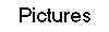 Pictures
